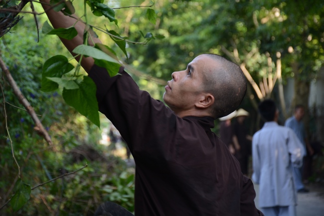 Preparing the Ullambana great Ceremony of gratitude to parents