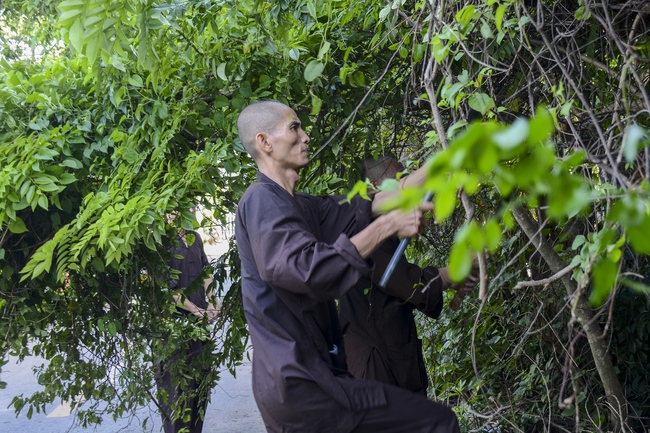 Preparing the Ullambana great Ceremony of gratitude to parents
