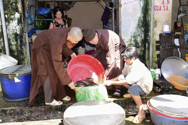 Praying peacefulness and releasing creatures in Can Tho