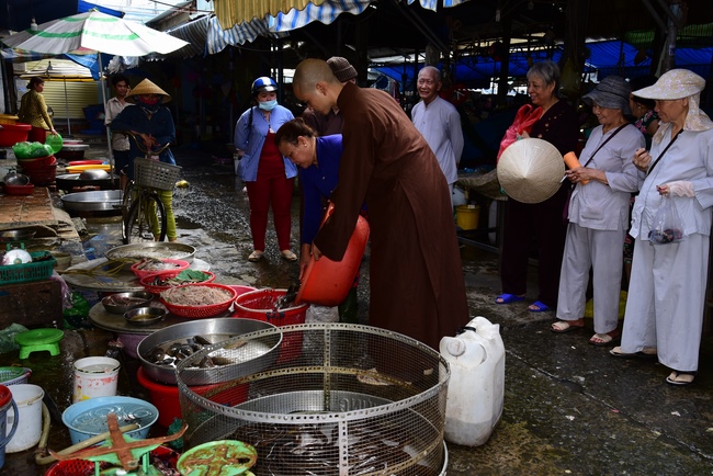 Praying peacefulness and releasing creatures in Can Tho