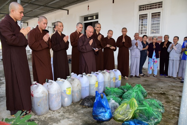 Praying peacefulness and releasing creatures in Can Tho