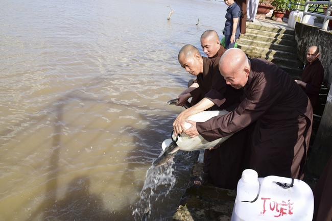 Praying peacefulness and releasing creatures in Can Tho