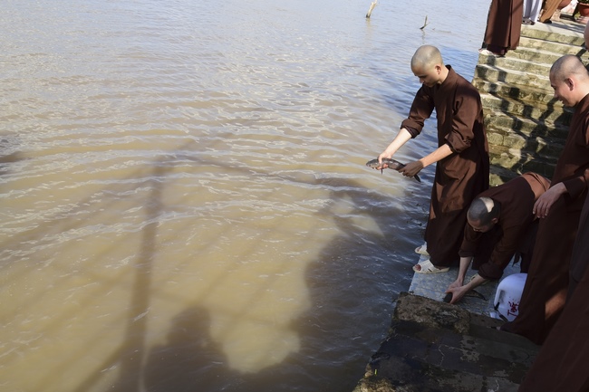 Praying peacefulness and releasing creatures in Can Tho