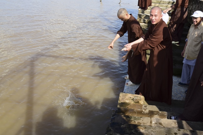 Praying peacefulness and releasing creatures in Can Tho