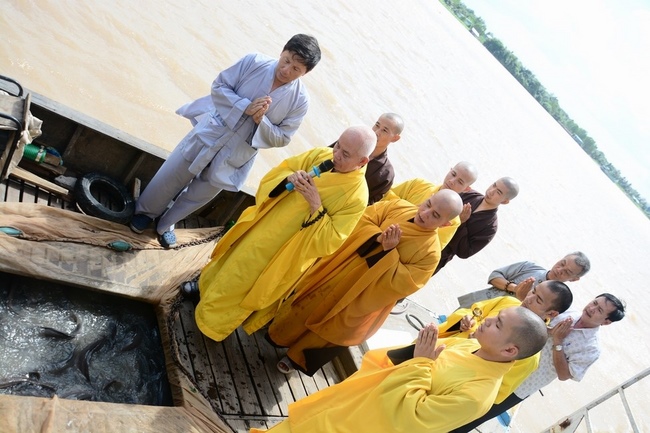 Releasing creatures on Van Phat yacht in Can Tho