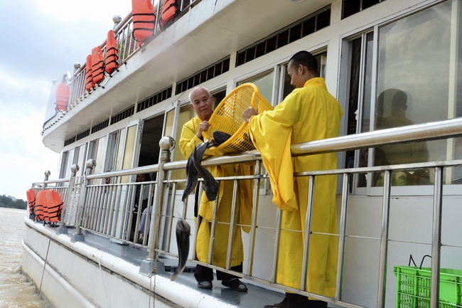 Releasing creatures on Van Phat yacht in Can Tho