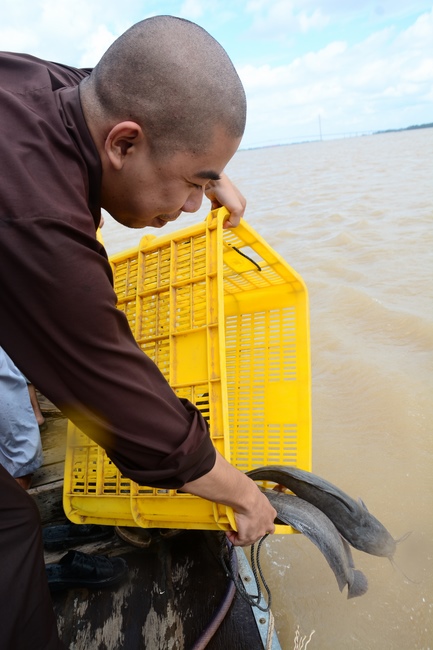 Releasing creatures on Van Phat yacht in Can Tho