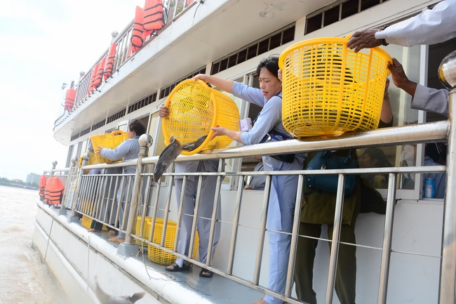 Releasing creatures on Van Phat yacht in Can Tho