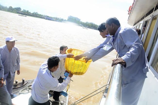 Releasing creatures on Van Phat yacht in Can Tho