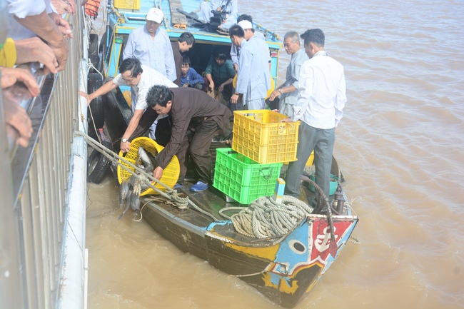 Releasing creatures on Van Phat yacht in Can Tho