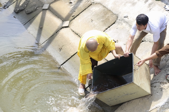 Trung Thu chùa Đống Cao, Thanh Hóa