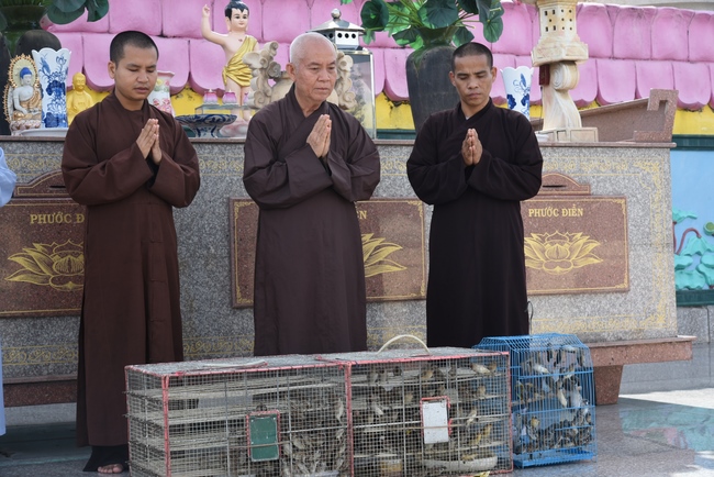 Quỹ Đào Tạo Tăng Tài Ngộ Chân Tử