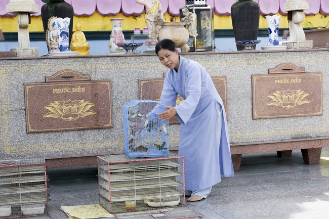 Quỹ Đào Tạo Tăng Tài Ngộ Chân Tử