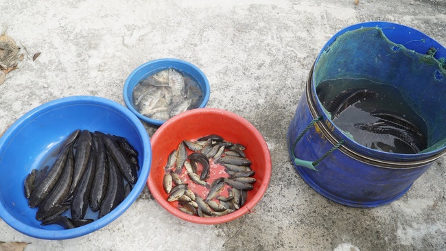 Dong Cao pagoda holding charity.