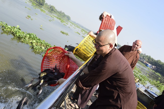 The ceremony putting the Buddha statue and releasing creatures.