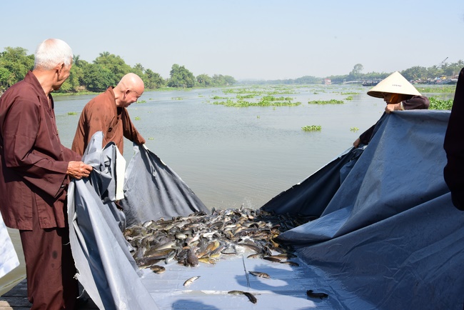 The ceremony putting the Buddha statue and releasing creatures.