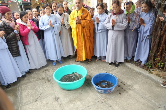 Khóa tu niệm Phật một ngày và Tổng kết Phật sự chùa Đống Cao