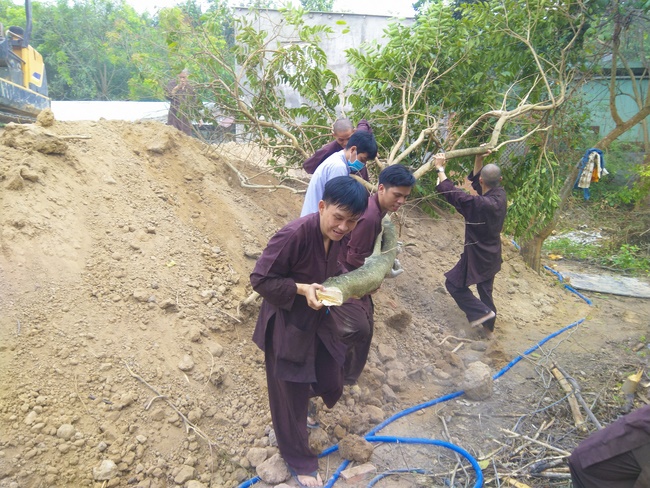 Series photos of activities preparing for the New Year 2020