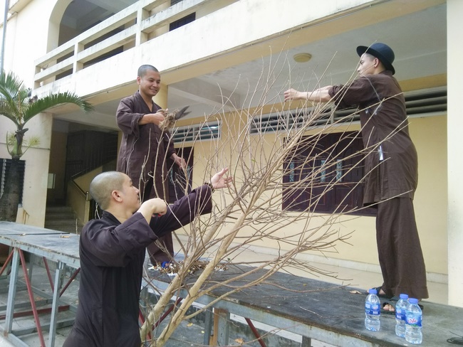 Series photos of activities preparing for the New Year 2020