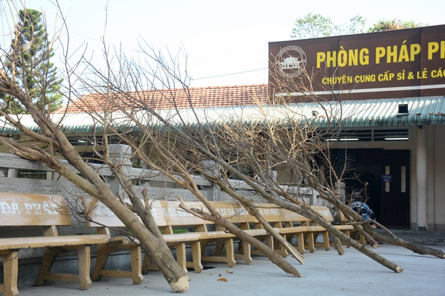 Series photos of activities preparing for the New Year 2020