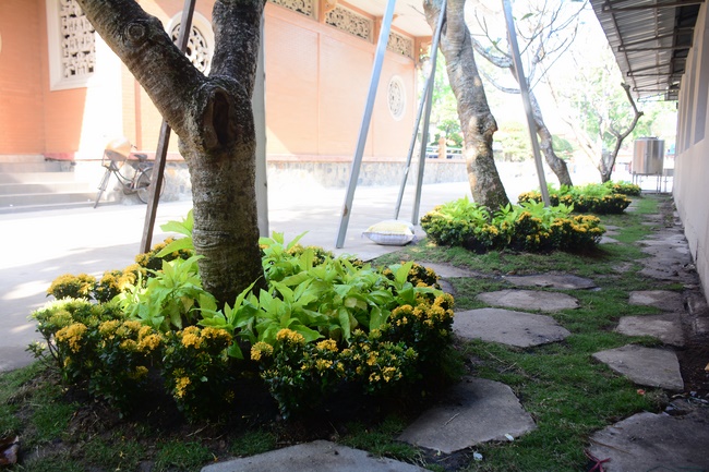 Series photos of activities preparing for the New Year 2020