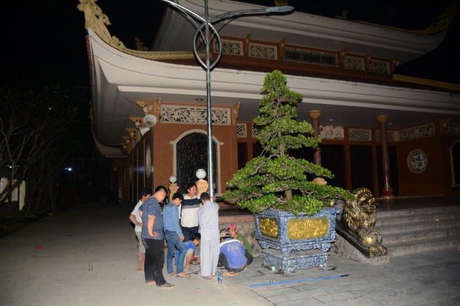 Series photos of activities preparing for the New Year 2020