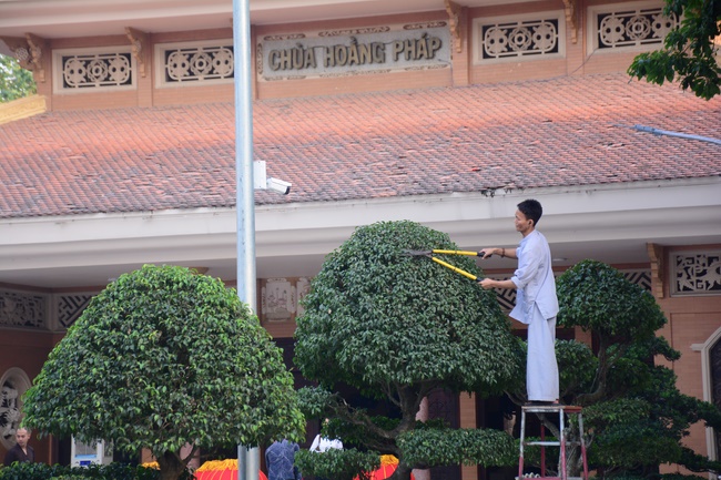 Series photos of activities preparing for the New Year 2020