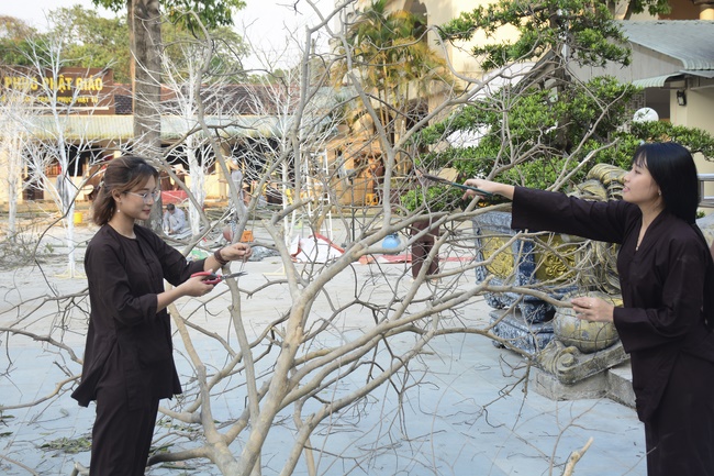 Series photos of activities preparing for the New Year 2020