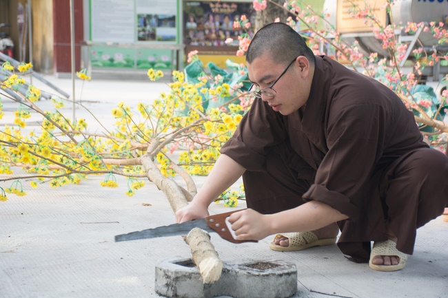 Series photos of activities preparing for the New Year 2020