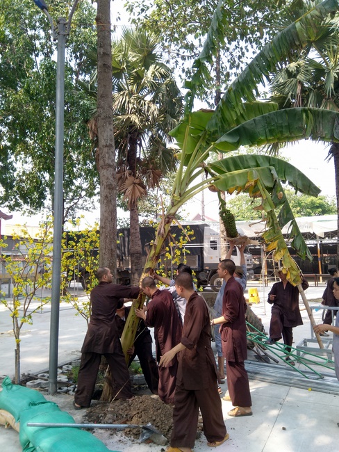 Series photos of activities preparing for the New Year 2020