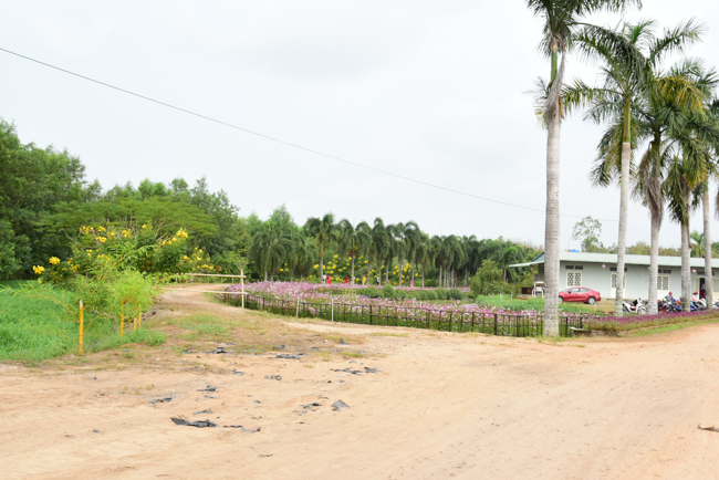 Giving Tet gifts to poor residents in Tay Ninh