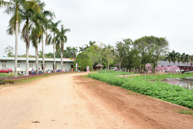 Giving Tet gifts to poor residents in Tay Ninh