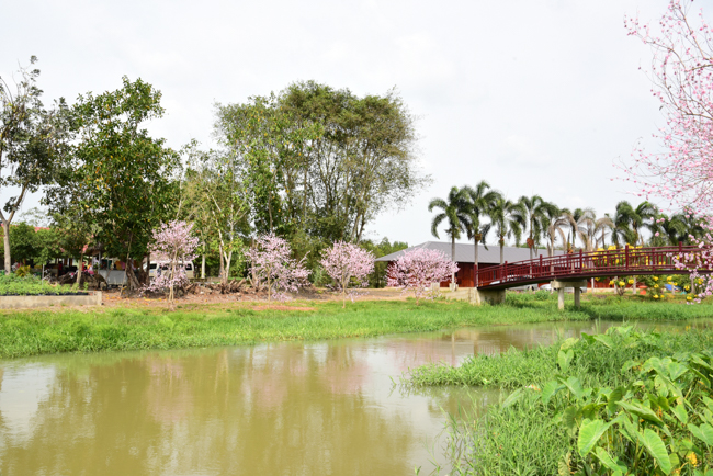 Giving Tet gifts to poor residents in Tay Ninh