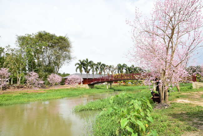 Giving Tet gifts to poor residents in Tay Ninh