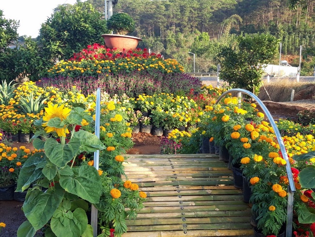 Welcoming the Spring of the Rat Year in Dak Nong