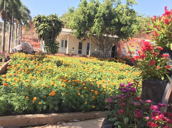 Welcoming the Spring of the Rat Year in Dak Nong