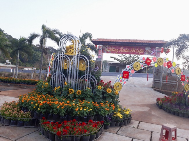 Welcoming the Spring of the Rat Year in Dak Nong