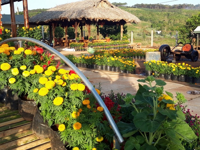 Welcoming the Spring of the Rat Year in Dak Nong