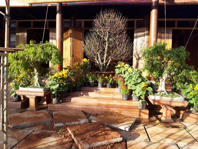 Welcoming the Spring of the Rat Year in Dak Nong