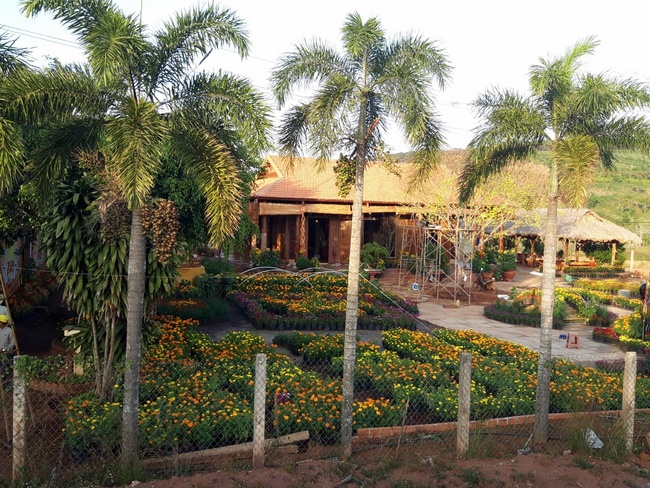 Welcoming the Spring of the Rat Year in Dak Nong