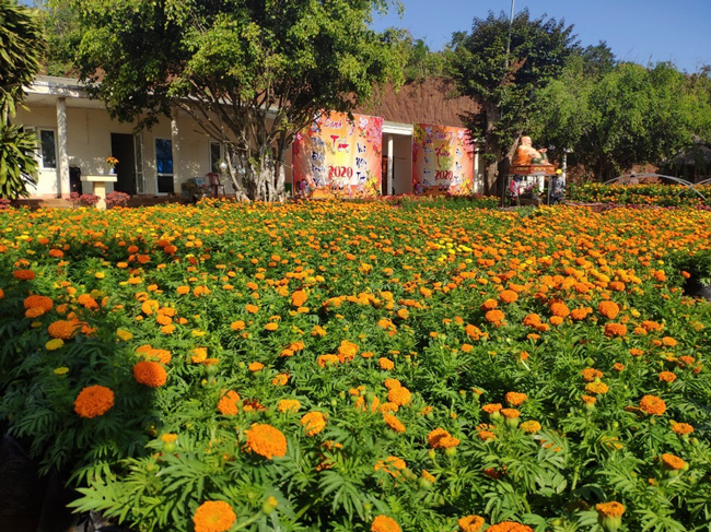 Welcoming the Spring of the Rat Year in Dak Nong