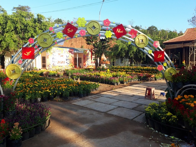 Welcoming the Spring of the Rat Year in Dak Nong