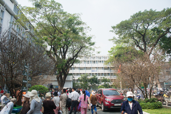 Program Spring of Love in 2020