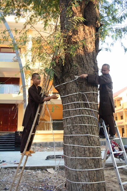 Series photos of activities preparing for the New Year 2020