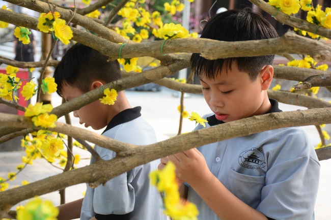 Series photos of activities preparing for the New Year 2020