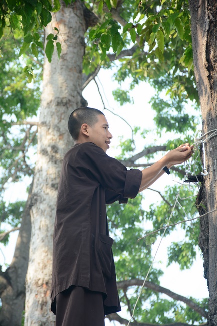 Series photos of activities preparing for the New Year 2020