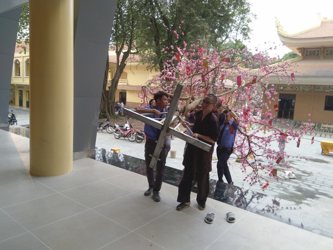 Series photos of activities preparing for the New Year 2020