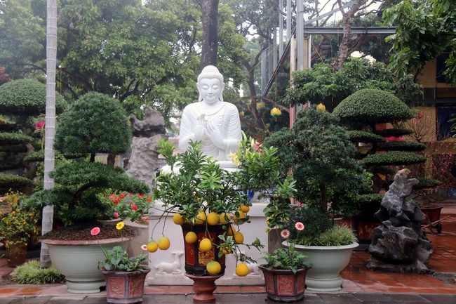 Lễ khánh tuế cuối năm 2019 chùa Hoà Phúc