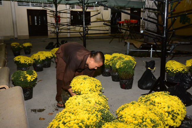 Series photos of activities preparing for the New Year 2020