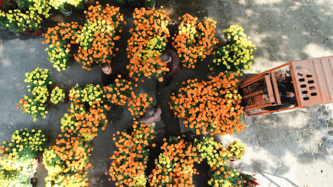 Series photos of activities preparing for the New Year 2020